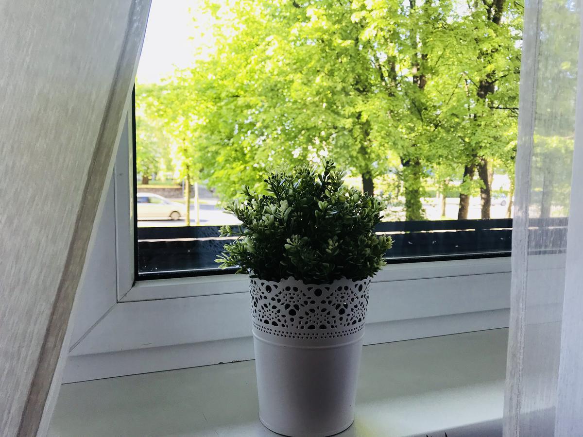 Savan House "Easy Kaunas" エクステリア 写真